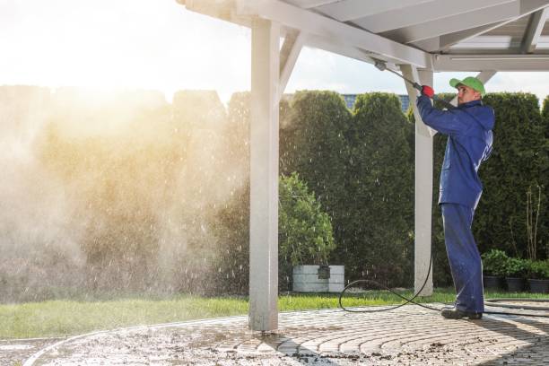 Best Solar Panel Cleaning  in Sands Point, NY